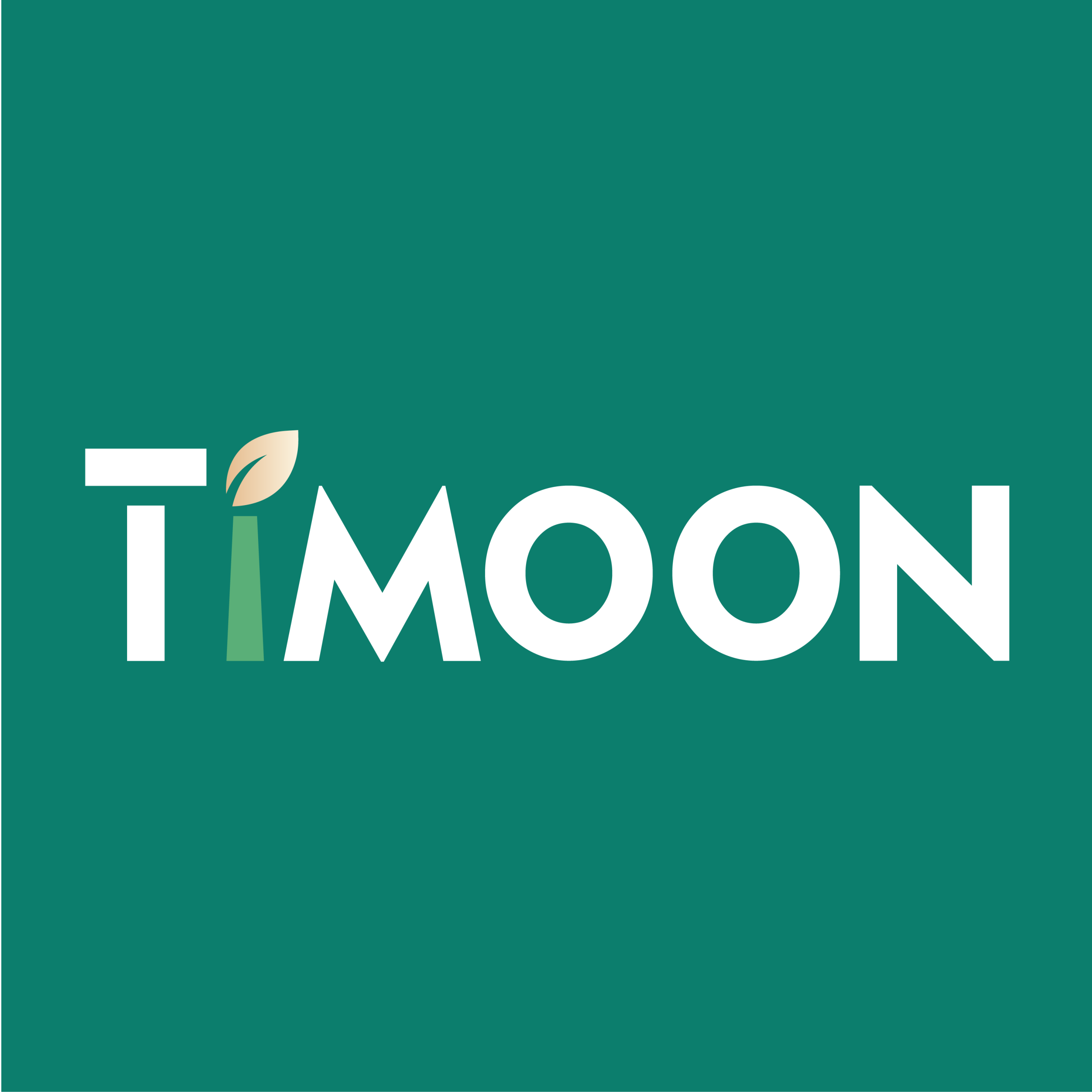 Timoon Office Website